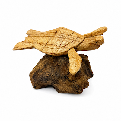 Large Turtle on Driftwood Statue